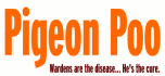 Pigeon poo