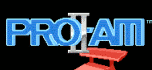 RC pro am 2